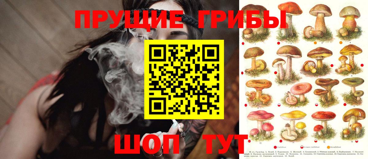 Алейск  Галлюциногенные грибы Cubensis  купить наркоту  Вход с VPN 