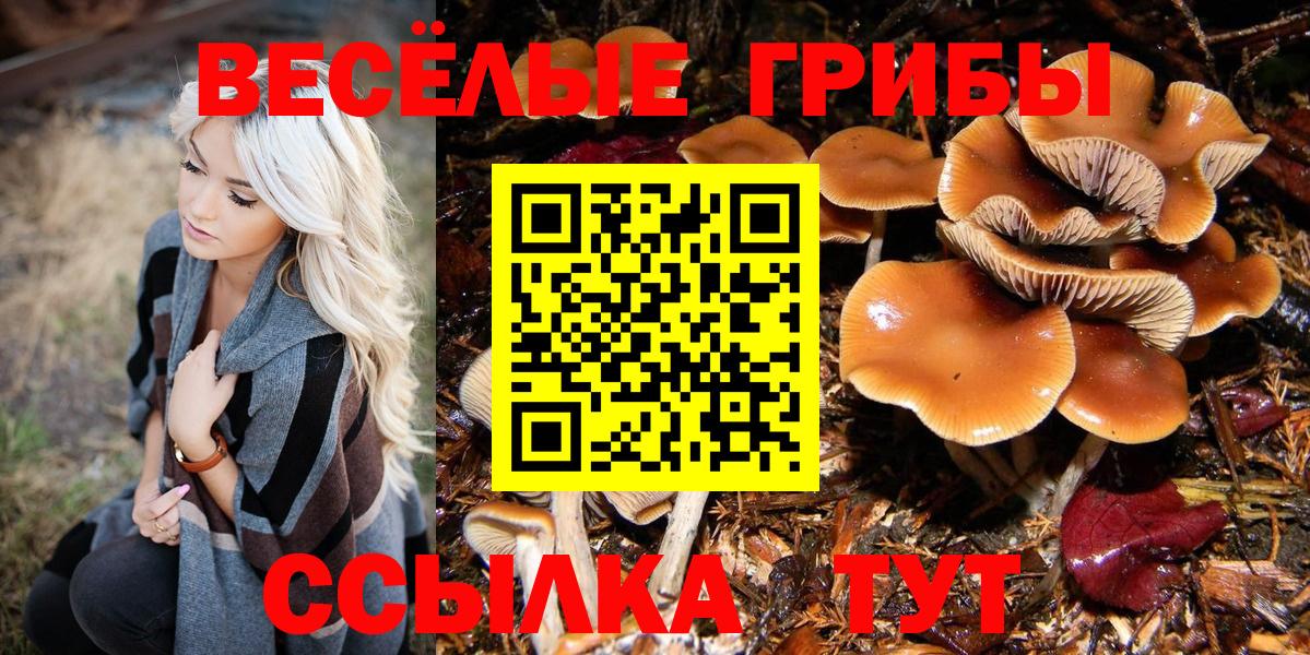 Псилоцибиновые грибы GOLDEN TEACHER Алейск